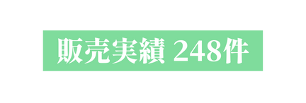 販売実績 248件